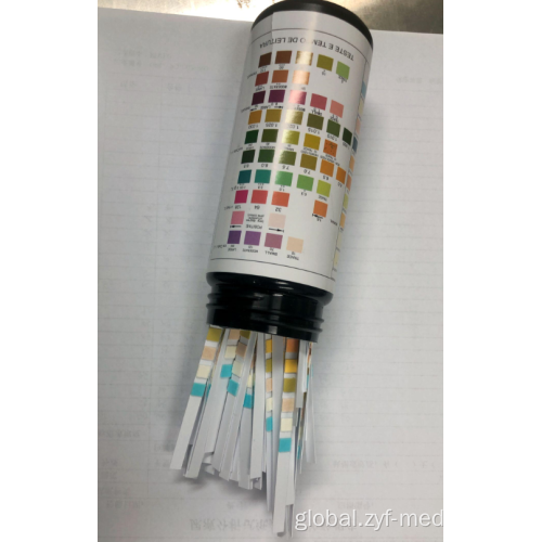 Urine Reagent Strip Reader Urine Test Strip 10 Parameter A10 Urinalysis Strip Factory